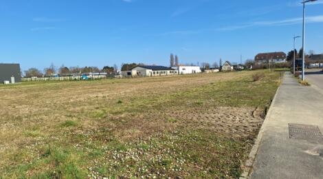 Parc d'activités - Terrain Divisible de 54,21 ares à vendre (Parcelle 12+43) : Photo